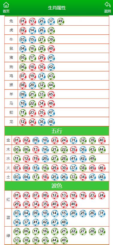 今晚澳门精准一肖一马--精选解释解析落实