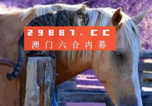 4949澳门彩开奖结果--精选解释解析落实