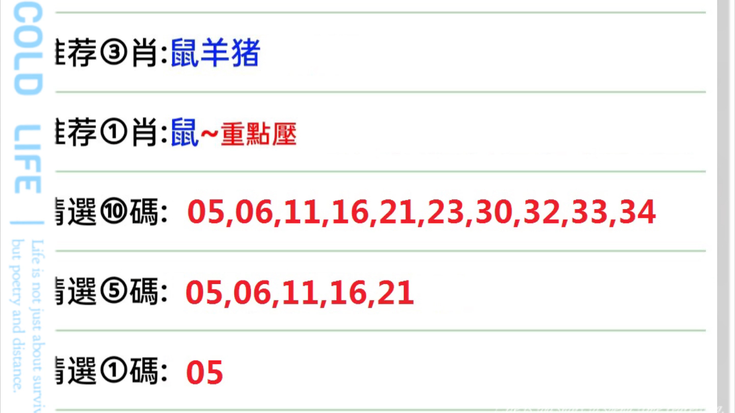 程序 第9页